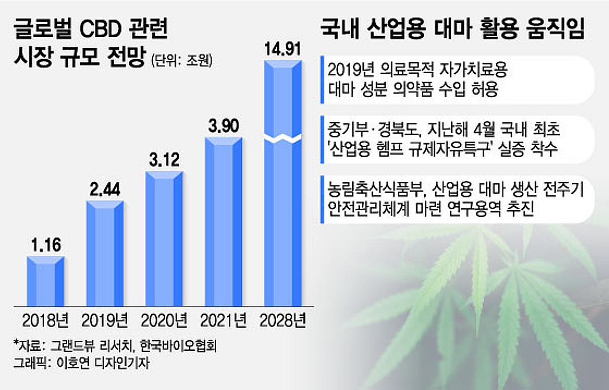 주가 요동치는 산업용 대마 관련주, 실제 기대효과는? - 머니투데이
