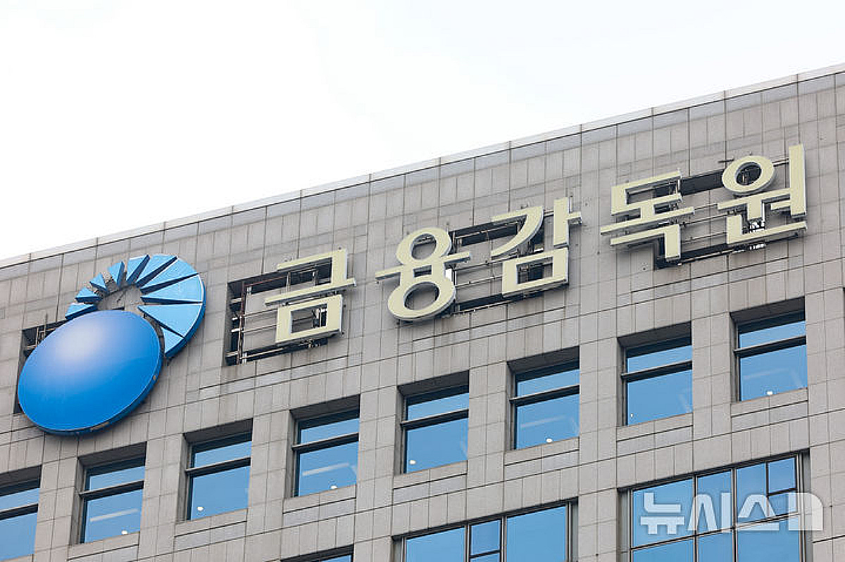 금감원, 기후금융 국제컨퍼런스..."한국형 전환금융 정착 지원" - 뉴스 썸네일 이미지
