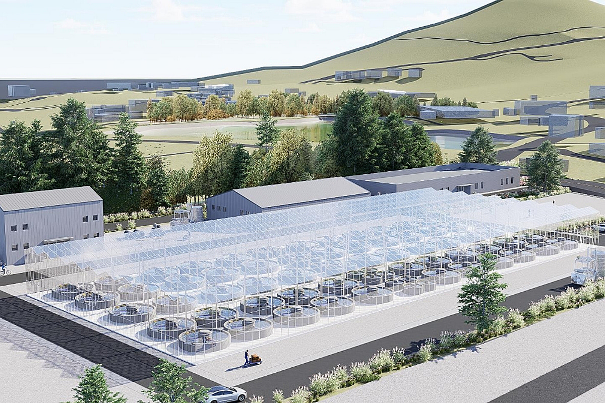 완도군, 해조류 산업 구조 '해양바이오산업' 전환 집중 - 뉴스 썸네일 이미지