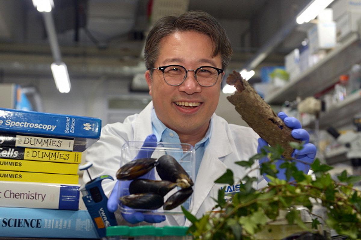 '그래비티 샴푸 개발' 이해신 카이스트 교수, '세계 상위 2% 연구자' 선정 - 뉴스 썸네일 이미지