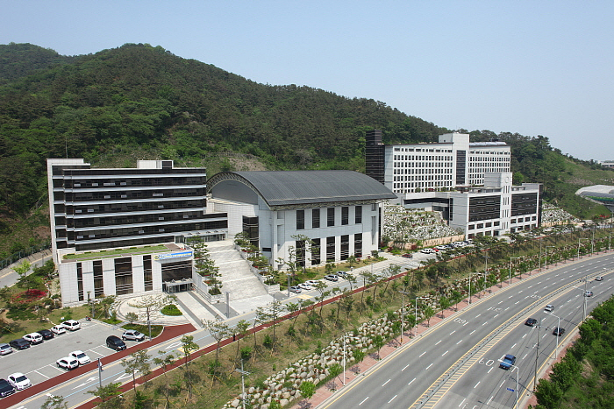 중국 유학생 100명이 가짜 졸업장으로 비자 받으려다 걸린 거 알아?