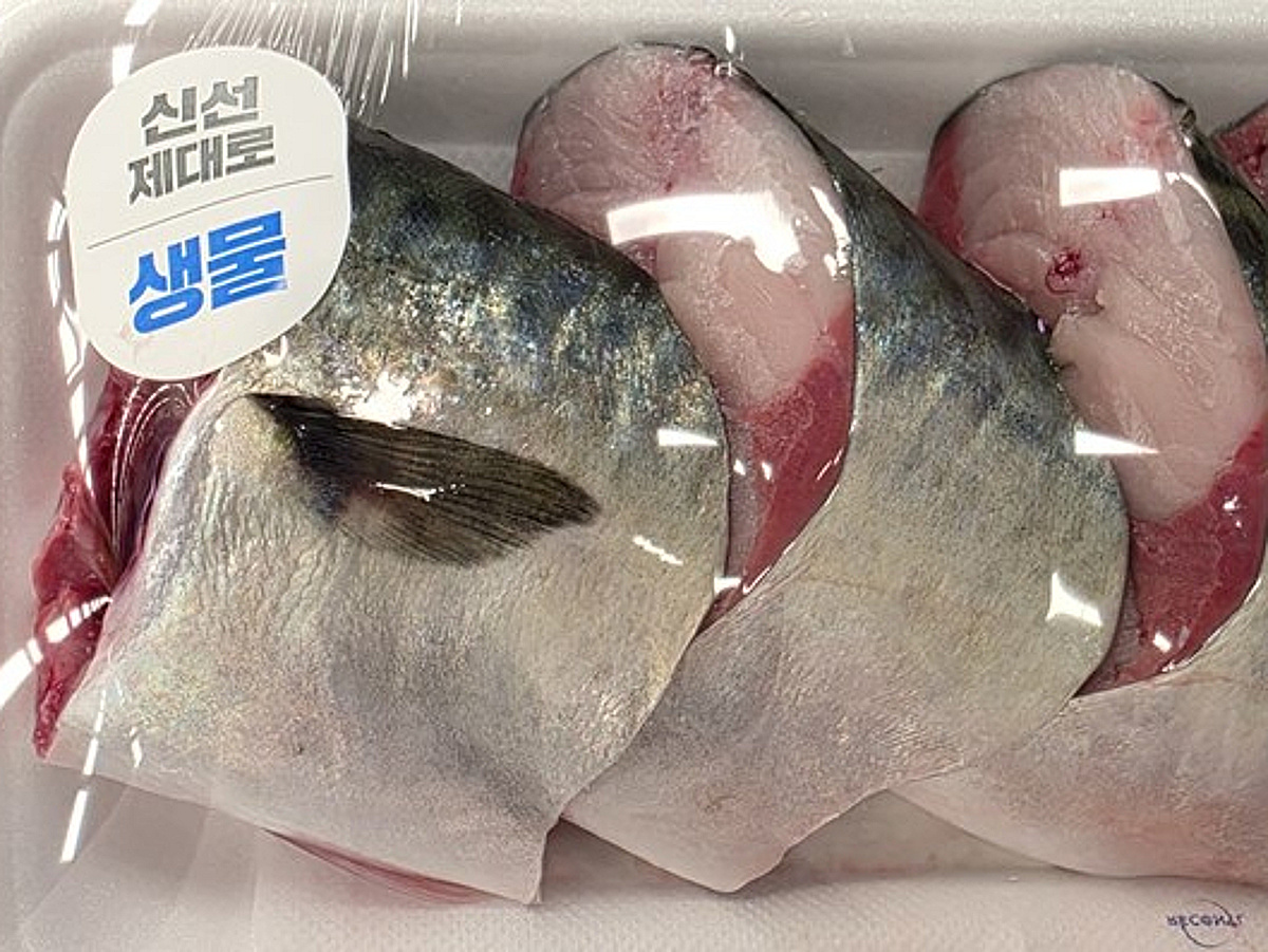 AI로 양식한 '제주 고등어' 식탁 오른다...메가플랜, 이마트에 납품 - 뉴스 썸네일 이미지
