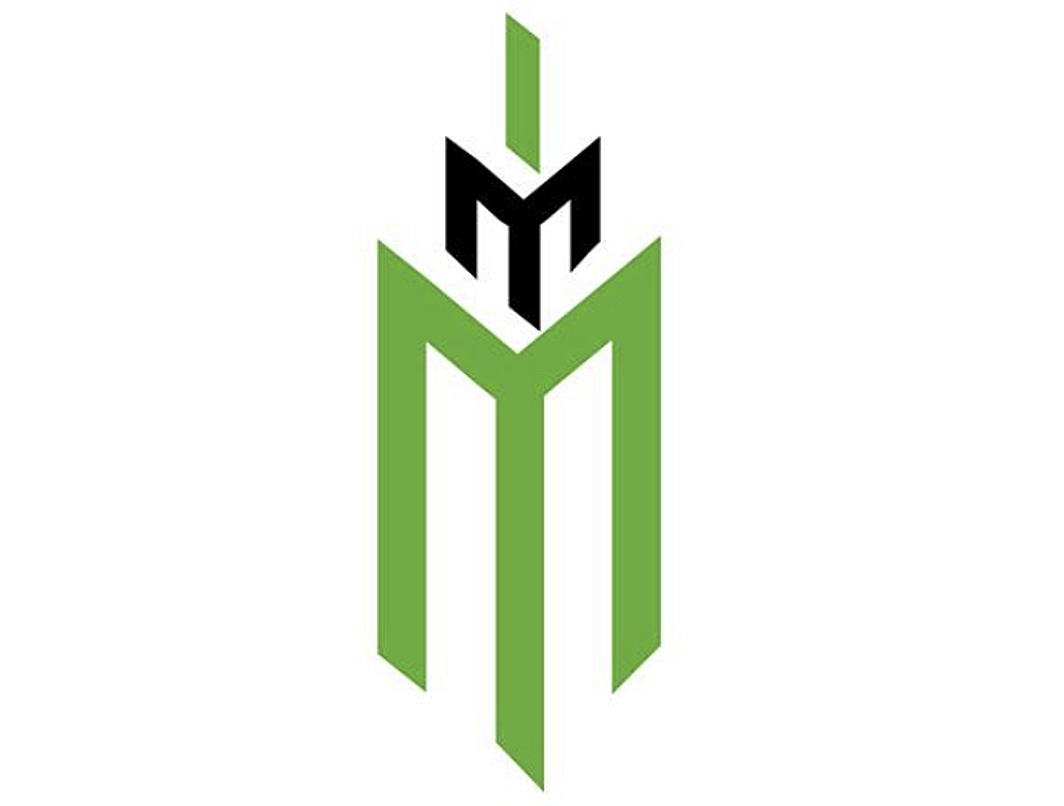 IMM홀딩스, 멀티에셋 프라이빗캐피탈 '우뚝' - 뉴스 썸네일 이미지