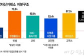 당정, 코인 대주주 지분 20% 제한 가닥...위헌 논란 계속될 전망
