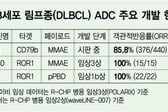 리가켐·에이비엘의 ROR1 ADC 1상서 반응률 100%…남은 과제는