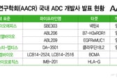 ADC 앞세운 K바이오, 빅파마 '픽' 노린다