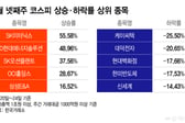 7천피 붕괴 와중에도..."55% 올랐다" 블랙데이 살아남은 주식[김근희의 증시 랩업]