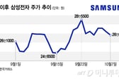 "얼마나 출렁이려나"…'영업익 100조' 예상에도 삼전 개미 떠는 이유