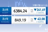 "주식창 못 보겠어" 코스피 3.65% 급락...파랗게 질렸다