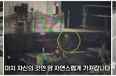 [더영상]①도로에서 유리창 깬 경찰관 ②공원 편의점 자전거 도둑 ③주택가 주차 차량 연쇄 방화범