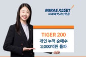 TIGER 200 ETF, 올해 개인 순매수 3000억 돌파