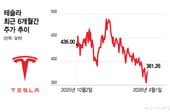 테슬라 1분기 전기차 인도량, 13% 증가 전망…주가는 올해 15% 하락[오미주]