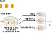 "전립선암, 약물 치료 효과 미리 안다"…'약물 내성 지도' 한국서 완성