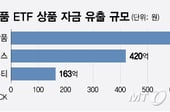 수익률 21%인데 자금 빠져나간다…화장품 ETF, 왜?