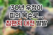 [곰국툰] 뒤쫓고 죽이고… '침팬지 내전' 발발, 왜