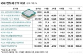 K반도체 ETF만 31개..."한 달간 45% 올라" 수익률 1위는?[ETFvsETF]