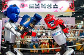 [딥포인트] 중국 로봇으로 로봇 복싱쇼하는 한국