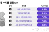 "삼전닉스만 봤다가 후회"...'이 종목' 담은 ETF, 한달 최고 수익률 81%