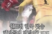 [곰국툰] 축구 승리, 이건 '특급 비밀'이야