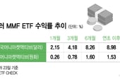 '이왕 굴리는 자금, 달러로...' 달러 파킹형 ETF가 13배 수익률 높아