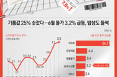 [사설] 하반기 환율발 인플레 우려 대책있나