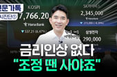 "美 금리인상 안해, 증시 빠지면 사세요"…전문가 집은 업종은[부꾸미]