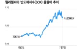 반도체주, 숨고르기 vs 추세 하락의 시작…어닝시즌이 답한다[오미주]