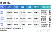 반도체 출렁일 때 "화장품株 뜬다"...수익률 높은 ETF는?[ETFvsETF]