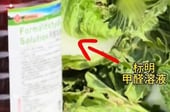 시신 방부제 묻은 중국산 배추...몸에 미치는 영향 '충격' [한 장으로 보는 건강]