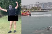 [더영상] "부산공원에 상어가 나타났다"…바바리맨에 여고생들 '깜짝'