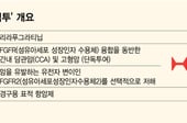 HLB, 신약 美 승인 받으며 주가 훨훨… 바이오 투심도 회복?