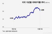 인플레이션 뛰는데 국채수익률 급락…AI 투자 둔화 우려 더 컸다[오미주]