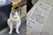 커피 5잔 주문하고 "절대 만들지 마세요"…카페 사장 울린 사연[오따뉴]