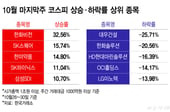 앤트로픽 IPO에 웃고, AI 우려에 울고…하닉 11%↑[김근희의 증시 랩업]