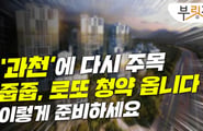 과천에 '반값 분양' 뜬다...줍줍 하려면?