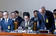"살길은 중동 진출" 막막했는데…'털리고 불나고' 보안주 또 들썩