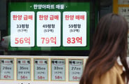 "우리도 집값 뚝 떨어져" 강남 이어 '이 동네'도...한강벨트 꺾인다