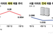 서울 아파트 매물 7만건 붕괴…'공급 절벽' 겹쳐 전월세 시장도 '흔들'
