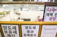 [TheTax] 다주택자, 집 팔면 세금 2배 '껑충'?…절세 숨통 열어둔 정부