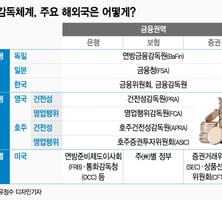 [MT리포트]금융소비자보호, 해외선 어디서 담당하나