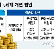 [MT리포트]금융감독체계의 또다른 불씨, 소비자보호 분리