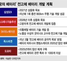 1번 충전에 800km 주행…'꿈의 배터리' 韓 어디까지 왔나