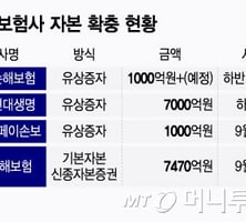 보험사들 유상증자 봇물…10곳 '적기시정조치' 위기