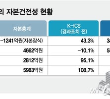 "유예기간 줘도 출구 없다" 중소형사 혼돈