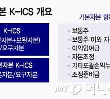 유럽+캐나다 절충한 '한국형 규제'…"일관성 필요"