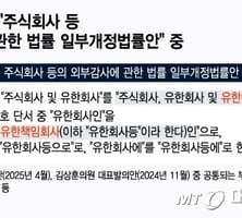 국내 투자 위축 막으려면…"외감 의무화, 정교해야"