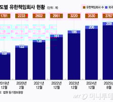 여야 법안발의 통했지만...MBK·아디다스 회계 감시법 올해도 무산