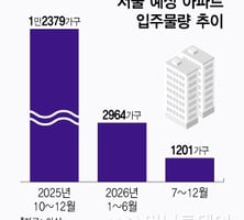 공급은 멀고 규제는 가깝다…안 잡히는 서울 집값