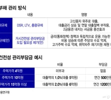 "흙수저만 잡았다" 가계대출 '양적규제'→'질적규제' 바뀌나