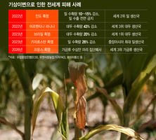 '폭염물가' 인도·태국 쌀값 폭등…"세계농업 500조 증발"